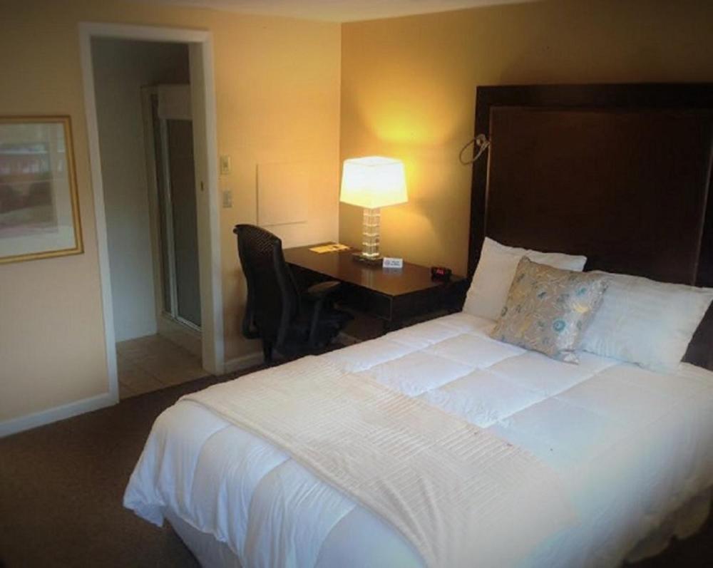 Standard Double Room interior
